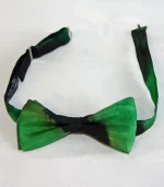Green and Black Ready-Tied Silk Bow Tie from Designs on Silk