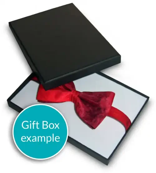 Silk Bow Tie in a Gift Box by Designs on Silk
