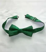 Spring Green and Dark Green Ready-Tied Silk Bow Tie - Image 2